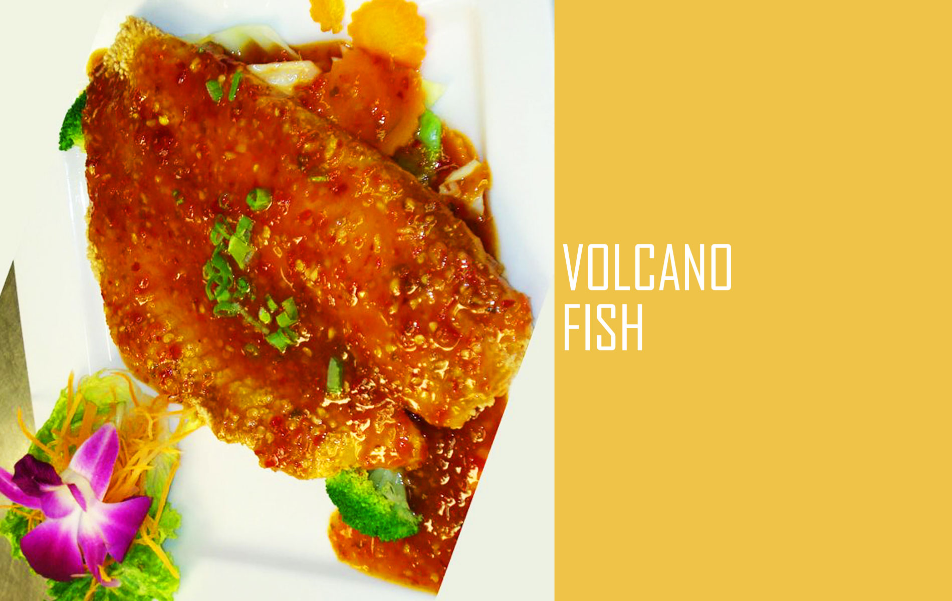 Volcano Fish